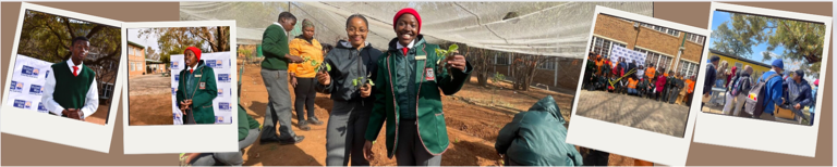 Urban Agriculture Programme at Schools 