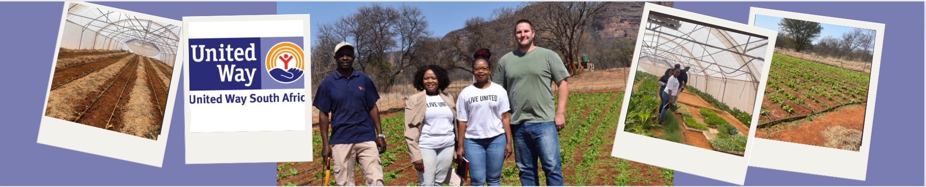 Limpopo farming 